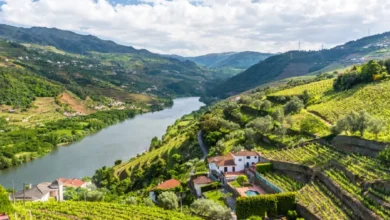 The Douro Line (Linha do Douro)