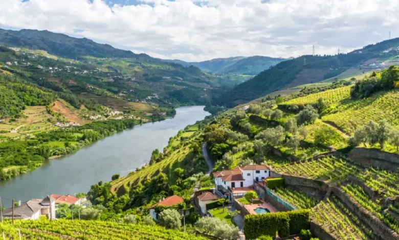 The Douro Line (Linha do Douro)