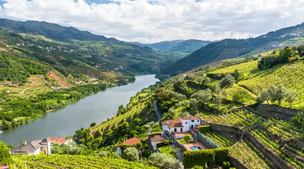 The Douro Line (Linha do Douro)